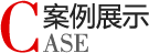 網站優化案例 網站優化案例
